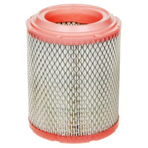 ACDelco A3619C Gold Engine Air Filter Element