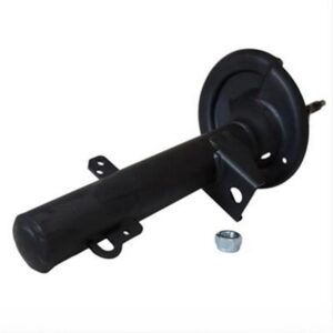 Motorcraft ASTV31 Shock and Strut
