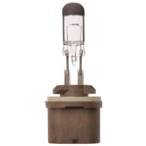 Genuine OEM 19257057 Light Bulb