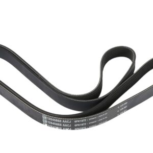 Genuine OEM 12645868 Accessory Belt