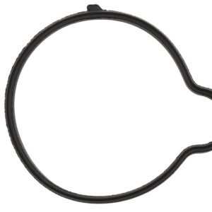 Genuine OEM 55565619 Water Neck Gasket and O-ring