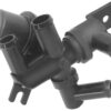 BCVC-155557