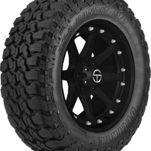 DELINTE DX-9 Bandit M/T Mud Terrain Light Truck Tires Online