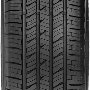 BBQN-28047319