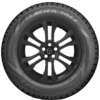 DKXN-167278010