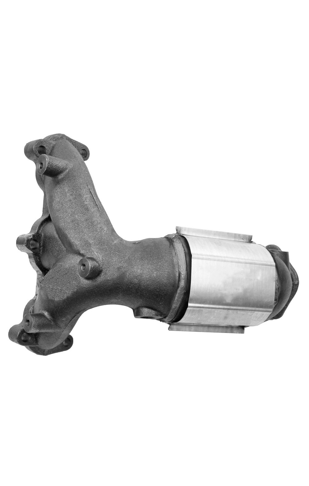 WLK-16568 BDCN-16568