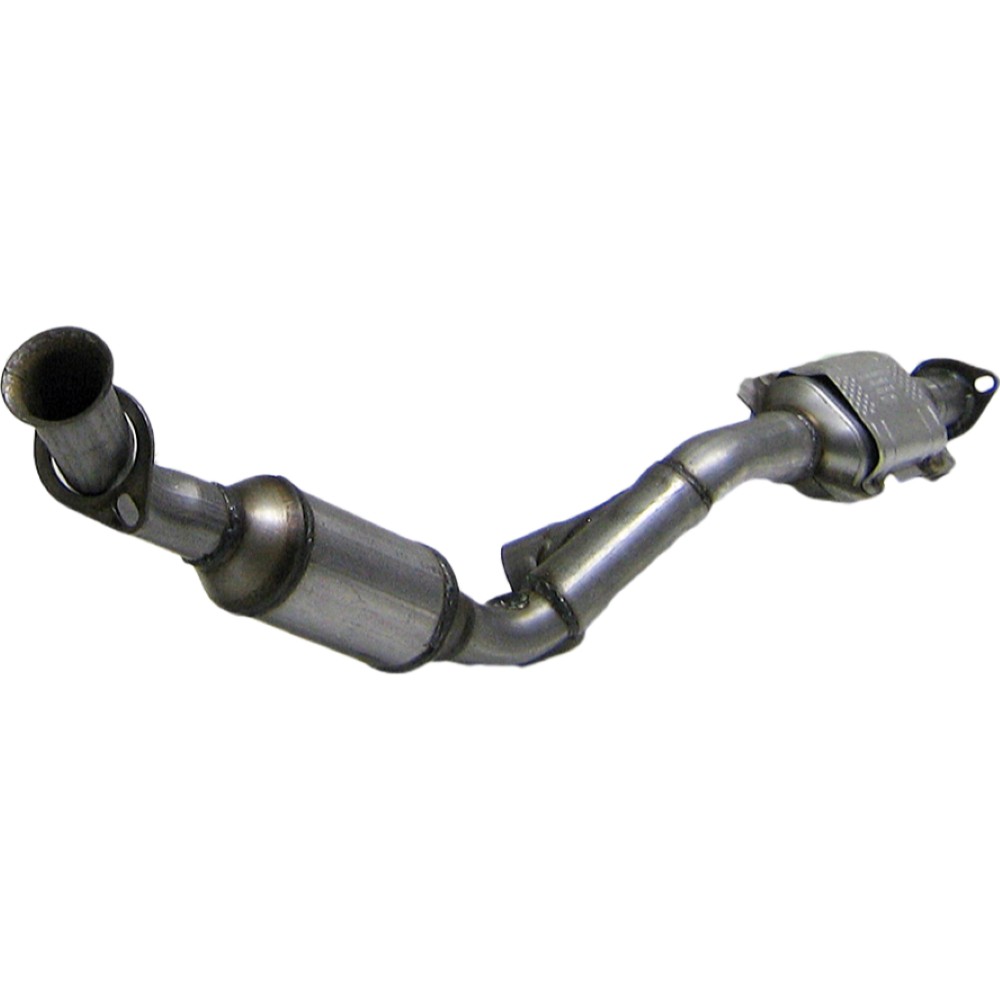 191881-2 CCML-191881