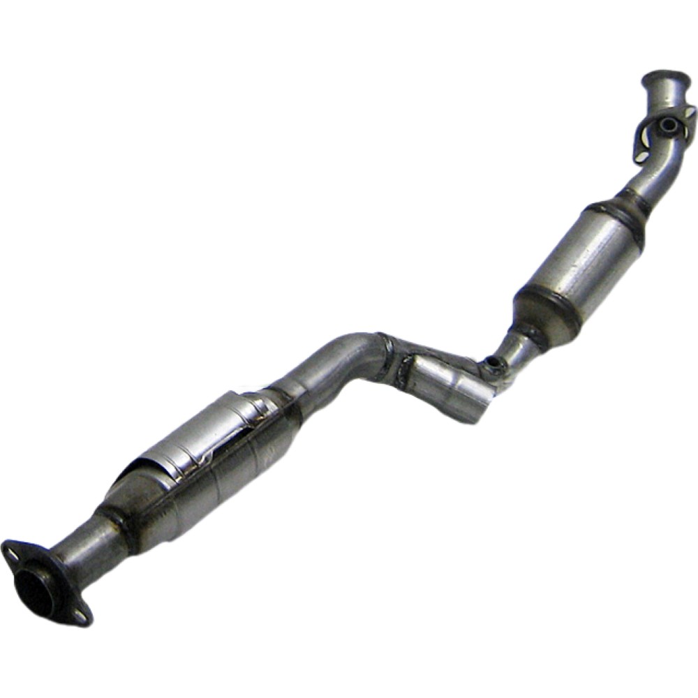 191881-3 CCML-191881