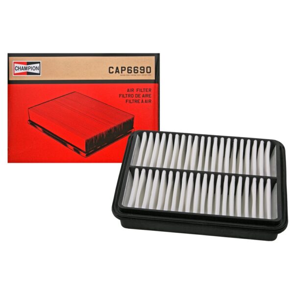 CPMF-CAP6690