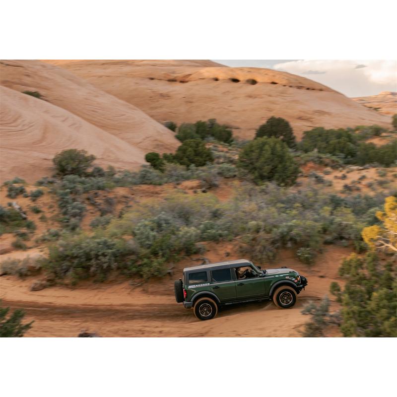 BDXX-M-1007K-P1785MBM