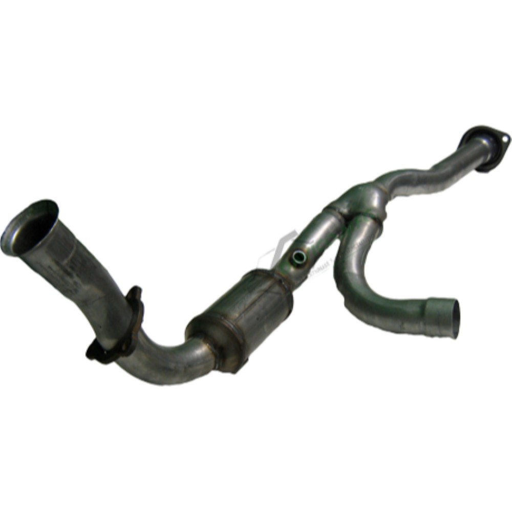 193772-3 CCML-193772